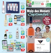 Sekt im Marktkauf Prospekt in Waiblingen Aktueller Marktkauf Prospekt mit Sekt, "Aktuelle Angebote", Seite 17