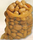 Deutsche Speisekartoffeln Belana bei WEZ im Bad Nenndorf Prospekt für 13,99 €