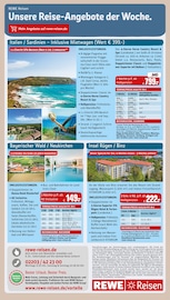 Fliesen im REWE Prospekt in Bruchsal Aktueller REWE Prospekt mit Fliesen, "Dein Markt", Seite 25