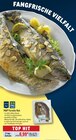 MAP Forelle Rot im Angebot bei Metro in Ludwigsburg MAP Forelle Rot Angebote von Metro Chef bei Metro Ludwigsburg für 9,62 €