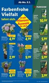 Aktueller Lidl Prospekt mit Garten, "LIDL LOHNT SICH", Seite 27