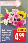Bunter Sonnenblumenstrauß für 4,99 € bei E center im Angebot Bunter Sonnenblumenstrauß im aktuellen E center Prospekt