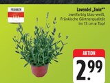 Lavendel „Twin“ im Angebot bei E center in Fürth Lavendel „Twin“ Angebote von Franken bei E center Fürth für 2,99 €