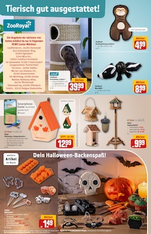 Kuchen im REWE Prospekt "Dein Markt" mit 38 Seiten (Offenbach (Main))