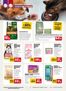 Prospectus Animalis de la semaine "Sommeil assuré, à prix légers !" avec 2 pages, valide du 29/09/2025 au 19/10/2025 pour Quimper et alentours