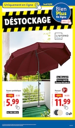 Offre Gazon Synthétique dans le catalogue Lidl du moment à la page 41