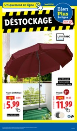 Gazon Synthétique Angebote im Prospekt "Le vrai prix des bonnes choses" von Lidl Gazon Synthétique Angebote im Prospekt "Le vrai prix des bonnes choses" von Lidl auf Seite 41
