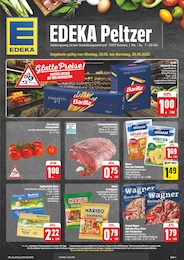 EDEKA Prospekt für Steina mit 52 Seiten EDEKA Prospekt für Steina: "Wir lieben Lebensmittel!", 52 Seiten, 23.06.2025 - 28.06.2025