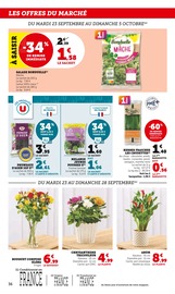 Chrysanthèmes Angebote im Prospekt "Super U" von Super U auf Seite 36