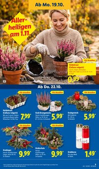 Pflege im aktuellen Lidl Prospekt (Mannheim) Pflege im Lidl Prospekt "LIDL LOHNT SICH" mit 73 Seiten (Mannheim)
