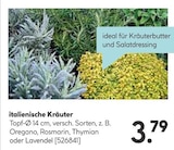 Kräuter Angebote bei Hellweg Hamm für 3,79 €