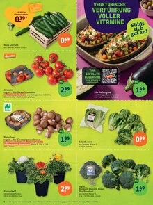 Tomaten im tegut Prospekt "tegut… gute Lebensmittel" mit 23 Seiten (Stuttgart)