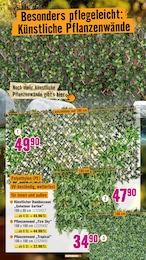 Zaun Sichtschutz Angebot im aktuellen Hornbach Prospekt auf Seite 16