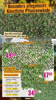 Zaun Sichtschutz Angebot im aktuellen Hornbach Prospekt auf Seite 16