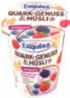 Protein Quark, Zero Quark, Quark Genuss Müsli oder Milder Skyr von Exquisa im aktuellen V-Markt Prospekt für 1,29 €