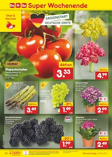 Pflanzen im aktuellen Netto Marken-Discount Prospekt (Duisburg) Pflanzen im Netto Marken-Discount Prospekt "Aktuelle Angebote" mit 58 Seiten (Duisburg)