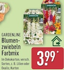 Blumenzwiebeln Farbmix von Gardenline im aktuellen ALDI Nord Prospekt