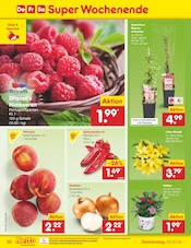 Pflanzen im Netto Marken-Discount Prospekt in Sankt Augustin Aktueller Netto Marken-Discount Prospekt mit Pflanzen, "Aktuelle Angebote", Seite 37