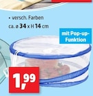 Speise-Abdeckhaube für 1,99 € bei Thomas Philipps im Angebot Speise-Abdeckhaube im aktuellen Thomas Philipps Prospekt