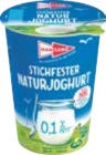 Stichfester Naturjoghurt von Hansano für 0,99 € bei Marktkauf im Angebot Stichfester Naturjoghurt von Hansano im aktuellen Marktkauf Prospekt