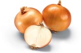 Aktuelle Gemüse Angebote bei Netto Marken-Discount in Oldenburg Aktuelles Zwiebeln Angebot bei Netto Marken-Discount in Oldenburg ab 1,11 €