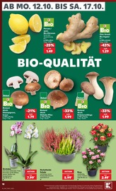 Pflanzen im Kaufland Prospekt in Bensheim Aktueller Kaufland Prospekt mit Pflanzen, "Hier bin ich richtig", Seite 22
