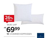 3-Kammer-Kopfkissen „Aida“ Angebote von Billerbeck bei XXXLutz Möbelhäuser Viersen für 69,99 €