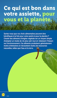 Promotion Rosier dans le prospectus Lidl, valable du 28/08/2025 au 03/09/2025 Promo Rosier dans le catalogue Lidl du moment à la page 28