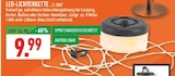 LED-LICHTERKETTE "LT-800" im Angebot bei Marktkauf in Bad Oeynhausen LED-LICHTERKETTE "LT-800" Angebote bei Marktkauf Bad Oeynhausen für 9,99 €