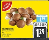 Champignons bei EDEKA im Brannenburg Prospekt für 1,29 €