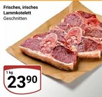 Lammkotelett im Angebot bei GLOBUS in Frechen Lammkotelett Angebote bei GLOBUS Frechen für 23,90 €