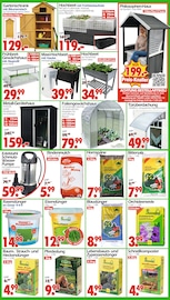 Aktueller Wreesmann Prospekt mit Rasendünger, "DEIN SAISON- & SONDERPOSTENMARKT!", Seite 4