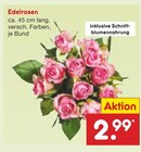 Edelrosen im Angebot bei Netto Marken-Discount in Remscheid Edelrosen Angebote bei Netto Marken-Discount Remscheid für 2,99 €