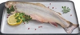 Aktuelle Fisch Angebote bei Lidl in Wuppertal Aktuelles Elsässer Saibling Angebot bei Lidl in Wuppertal ab 12,80 €