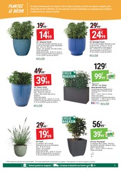 Plante Verte en promo dans le catalogue Gamm vert à la page 5