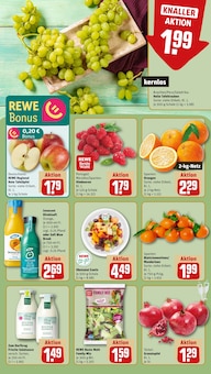 Saft im REWE Prospekt "Dein Markt" mit 22 Seiten (Osnabrück)
