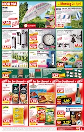 Thermometer Angebot im aktuellen Norma Prospekt auf Seite 5