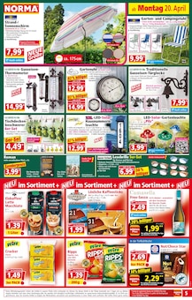 Staubsauger im Norma Prospekt "Mehr fürs Geld" mit 21 Seiten (Cottbus)