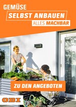 OBI Prospekt für Reiser mit 1 Seiten OBI Prospekt für Reiser: "GEMÜSE SELBST ANBAUEN - ALLES MACHBAR", 1 Seiten, 15.03.2021 - 30.04.2021