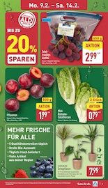 Aktueller ALDI Nord Prospekt mit Garten, "Aktuelle Angebote", Seite 3