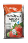 Aktuelle Tomaten Angebote bei Sonderpreis Baumarkt in Göttingen Aktuelles Bio-Tomaten- und -Gemüseerde Angebot bei Sonderpreis Baumarkt in Göttingen ab 6,49 €