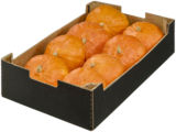 Aktuelles Bio Kürbis Hokkaido Angebot bei METRO in Hamm ab 2,11 €