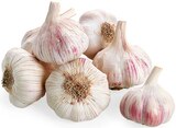 Bio Knoblauch im REWE Prospekt Bio Knoblauch von REWE im aktuellen REWE Prospekt für 0,88 €