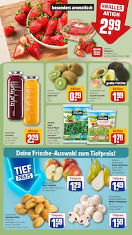 Äpfel im REWE Prospekt "Dein Markt" mit 28 Seiten (Hannover)