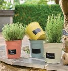 Cache-pot en métal en promo chez U Express Boulogne-Billancourt à 1,99 €