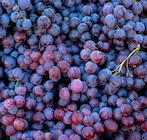 Promo Raisins noirs à 1,99 € dans le catalogue Norma à Schiltigheim
