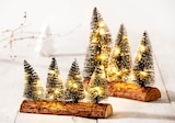 Norma Soultz-Haut-Rhin - Promo Sapins de Noël LED, 3 pièces Promo Sapins de Noël LED, 3 pièces à 5,99 € dans le catalogue Norma à Soultz-Haut-Rhin