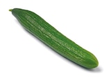 Gurke von Go Bio für 0,99 € bei Netto mit dem Scottie im Angebot Gurke von Go Bio im aktuellen Netto mit dem Scottie Prospekt