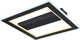 LED-Deckenleuchte von Lam Pura für 49,99 € bei ROLLER im Angebot LED-Deckenleuchte von Lam Pura im aktuellen ROLLER Prospekt