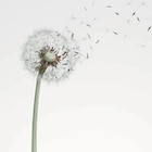 Bilder ca. 20 x 30 cm im Angebot bei Die Möbelfundgrube in Neunkirchen Bilder ca. 20 x 30 cm Angebote bei Die Möbelfundgrube Neunkirchen für 14,99 €